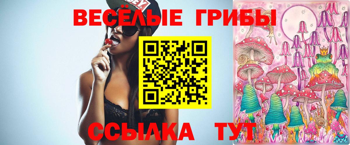 Галлюциногенные грибы прущие грибы  Галлюциногенные грибы GOLDEN TEACHER  Вязьма  Вход с VPN 